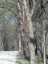 image-20240415093024-9.jpeg