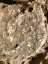 image-20240415093604-13.jpeg