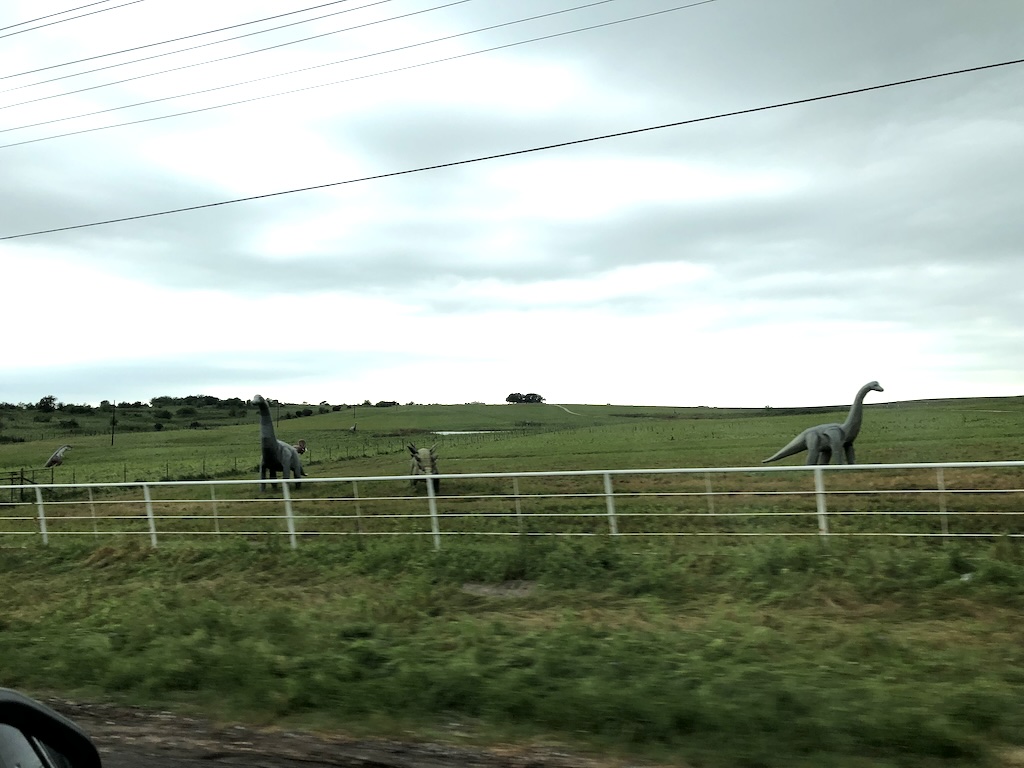 image-20240510094156-5.jpeg