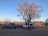 image-20240410225653-7.jpeg