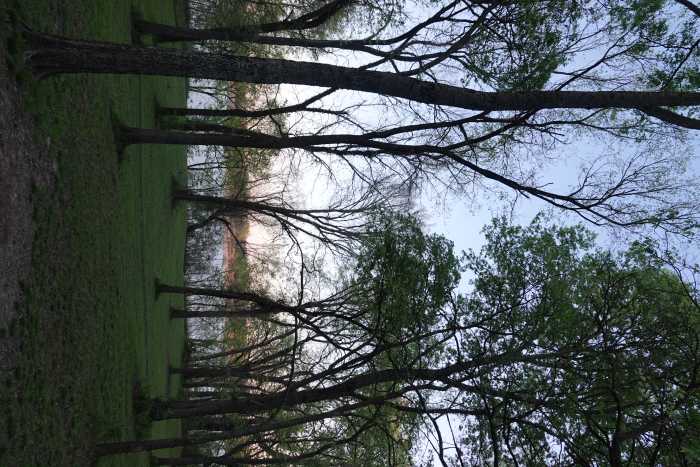 image-20240403233324-1.jpeg